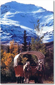 Covered Wagon Meal